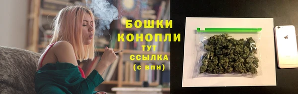 дмт Арсеньев