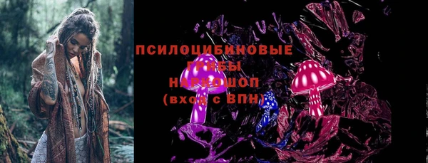 дмт Арсеньев
