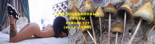 трава Армянск