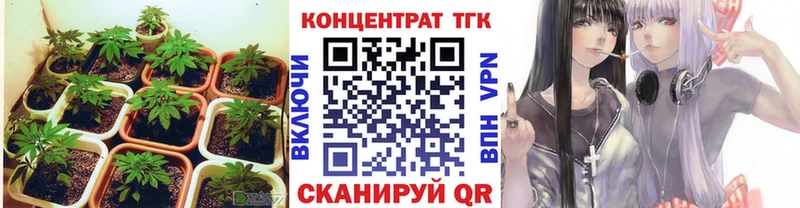 Дистиллят ТГК концентрат  купить наркотики цена  Новокубанск 